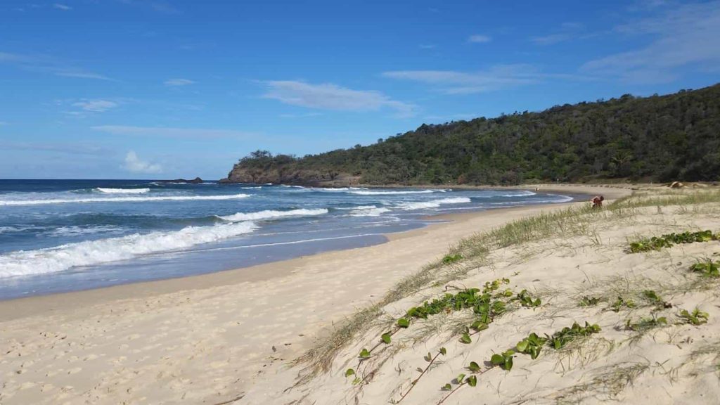 Strand mit Meer und Wald in Australien