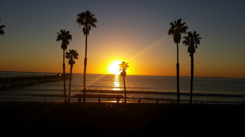 Sonnenuntergang mit Palmen am Meer