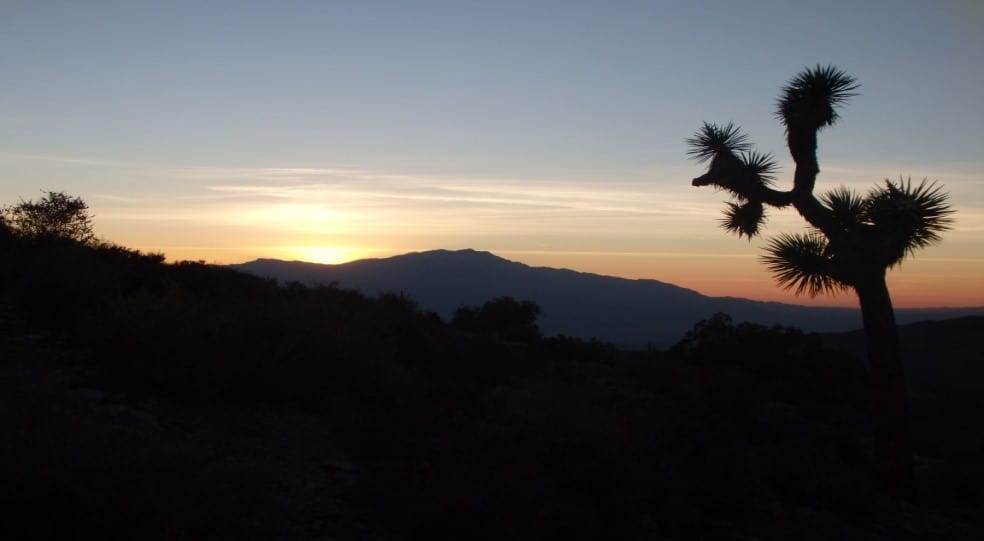 Sonnenuntergang aus dem Joshua Tree Nationalpark