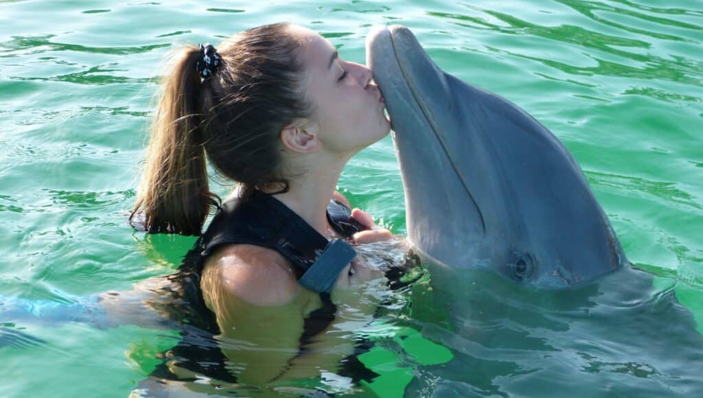 A girl is kissing a dolphin